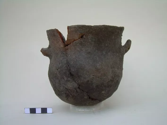 Olla (arqueológica y etnográfica)