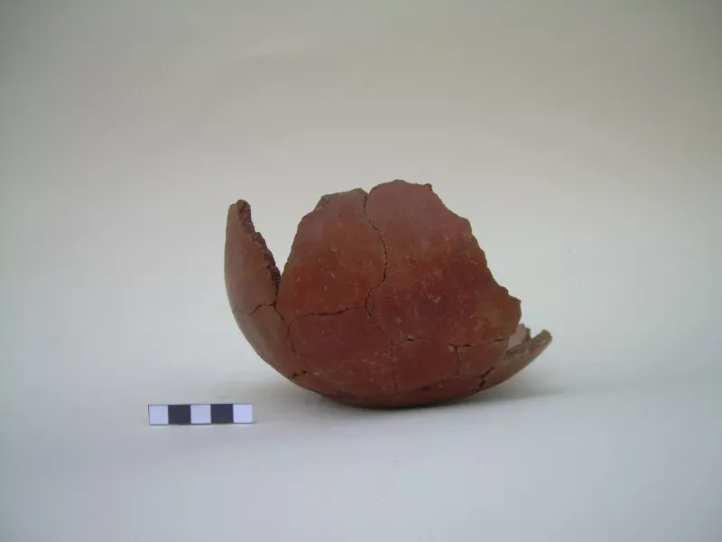Vasija