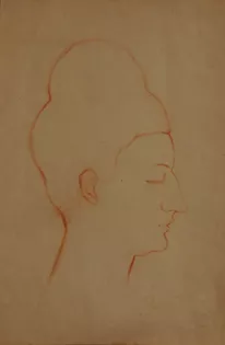 Perfil