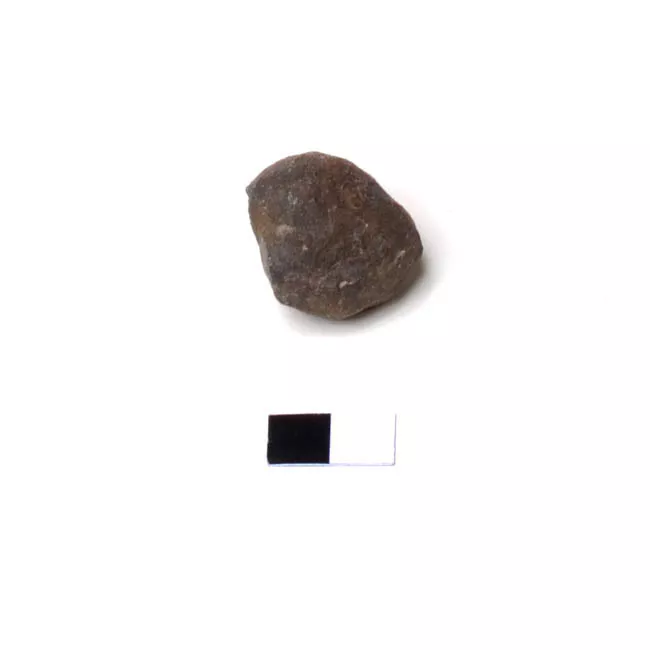 Bola
