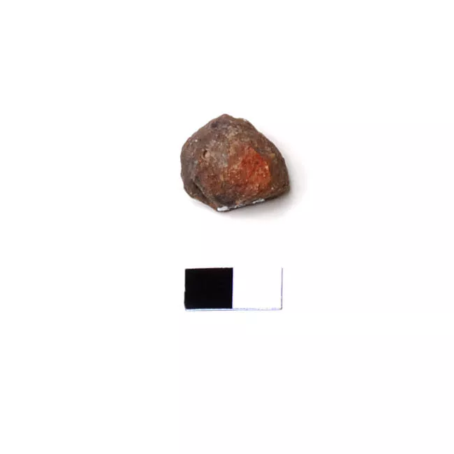 Bola