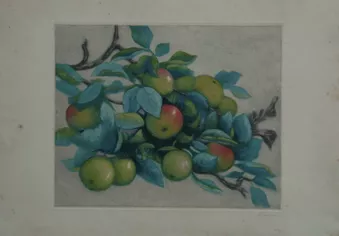 Frutas
