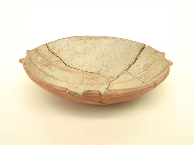 Escudilla