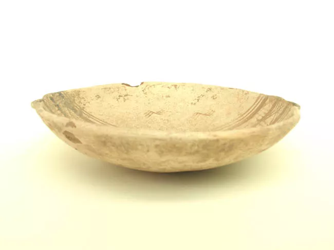 Escudilla
