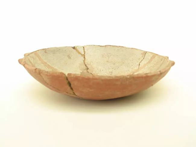 Escudilla