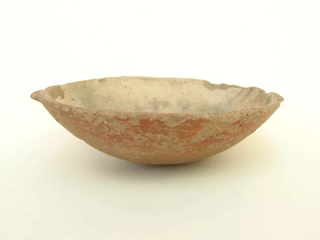 Escudilla