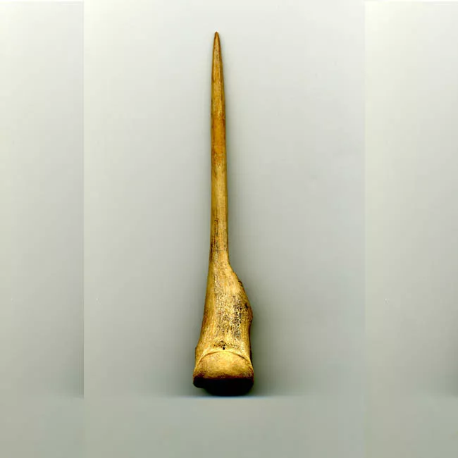 Tupu