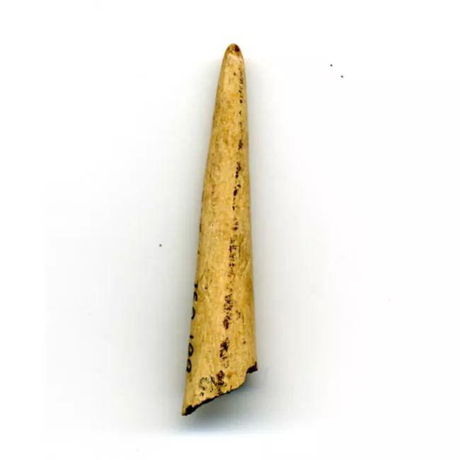 Punzón (arqueológico)