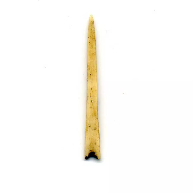 Aguja (arqueológico y etnográfico)