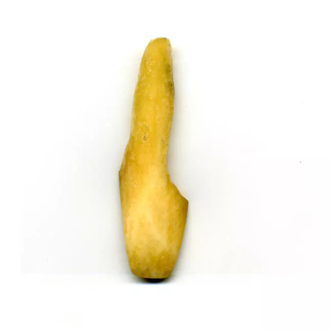 Espátula