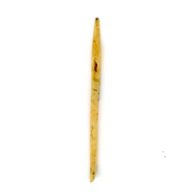 Aguja (arqueológico y etnográfico)