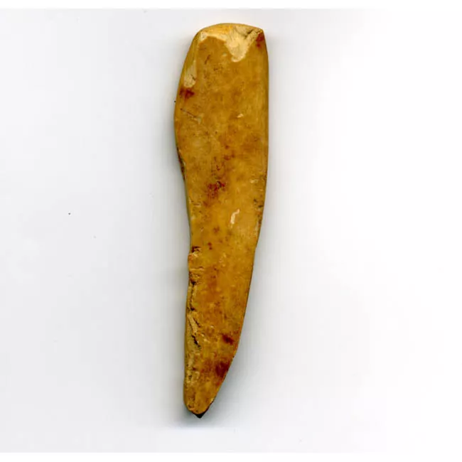 Espátula