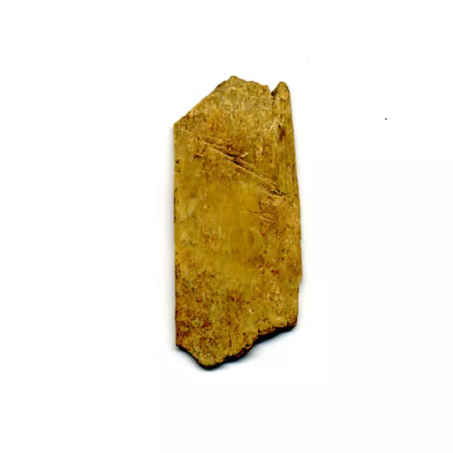 Espátula