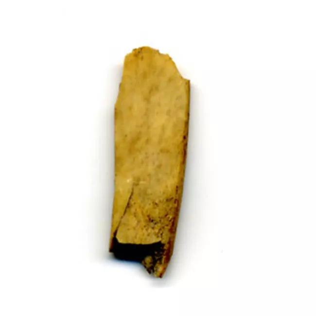 Artefacto