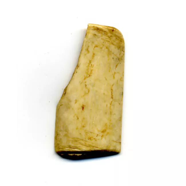 Espátula