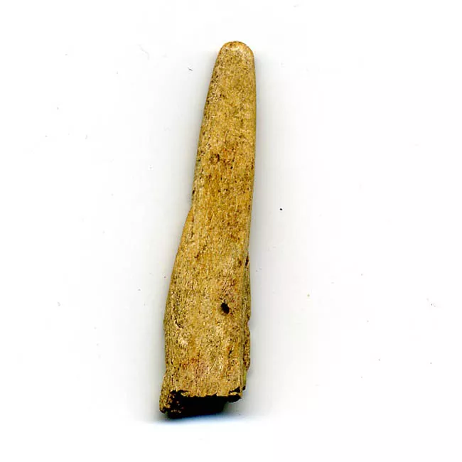 Espátula