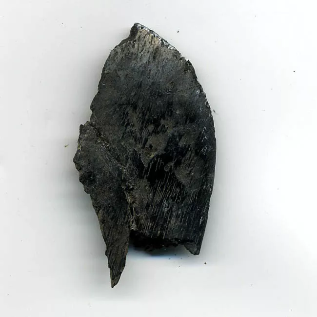 Pala