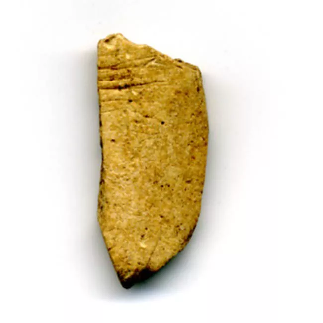 Pulidor (arqueológico)