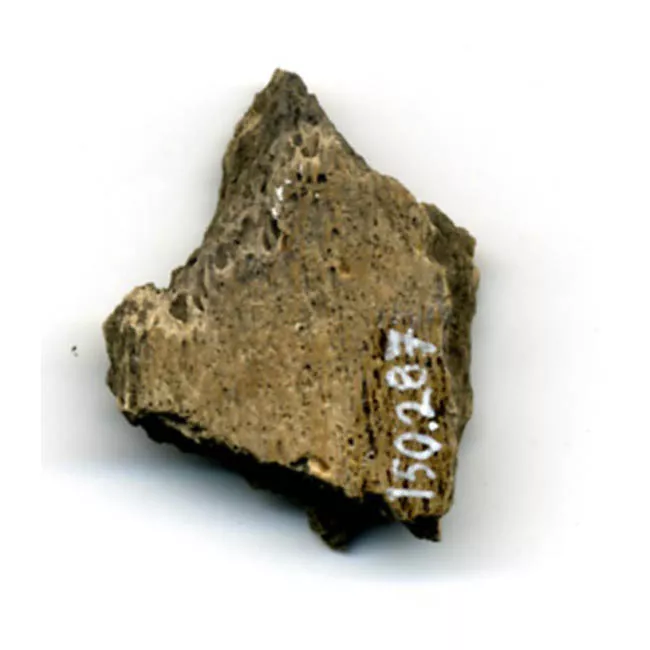 Pulidor (arqueológico)