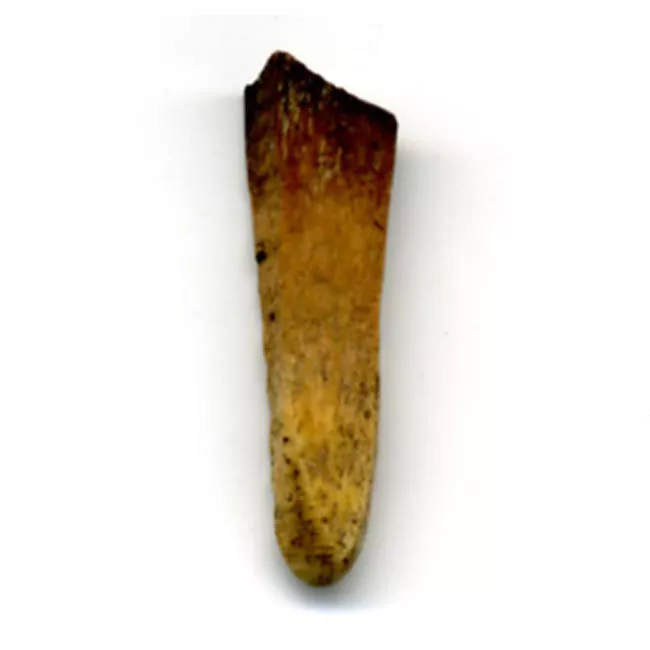 Punzón (arqueológico)
