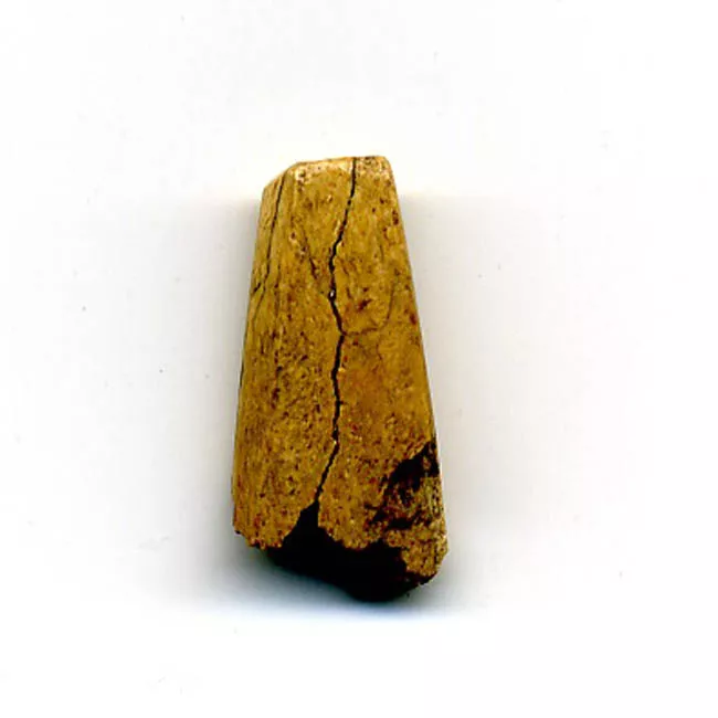 Espátula