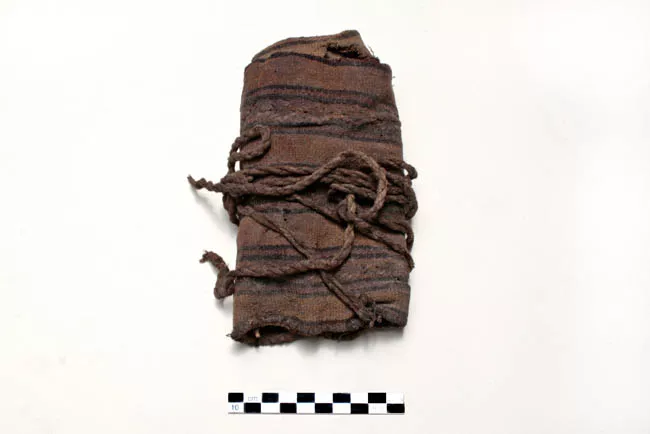 Bolsa (contenedor)