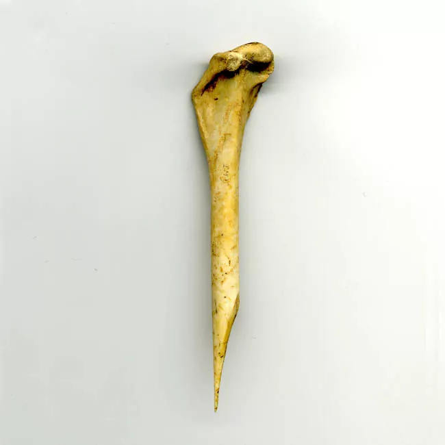 Punzón (arqueológico)