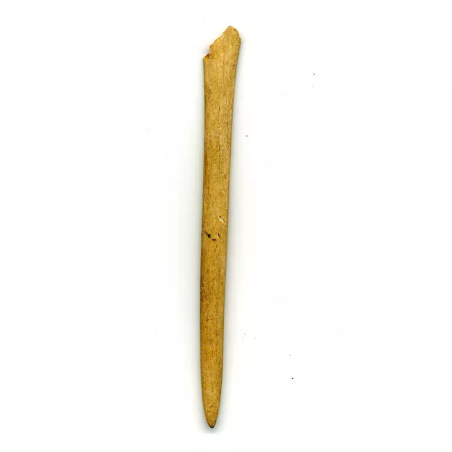 Espátula