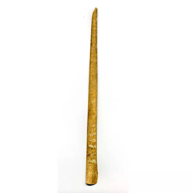 Espátula