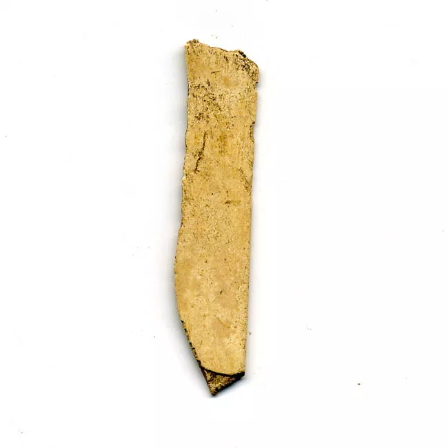 Espátula