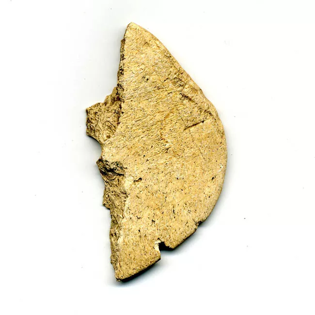 Tortera
