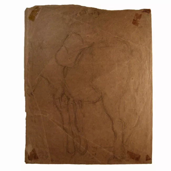 Croquis con montura