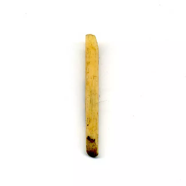 Aguja (arqueológico y etnográfico)
