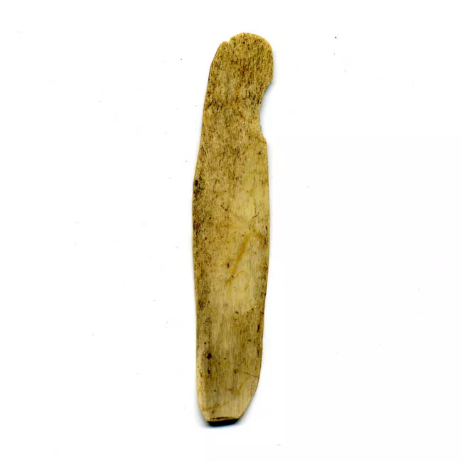 Espátula