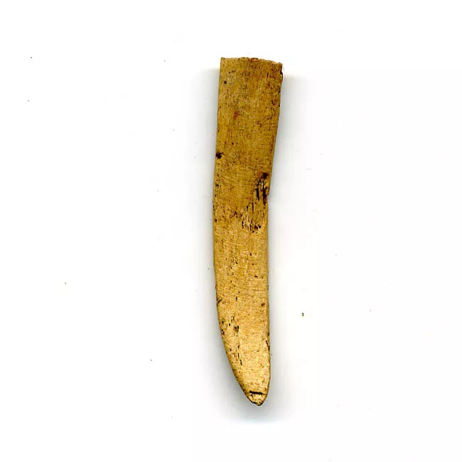 Espátula