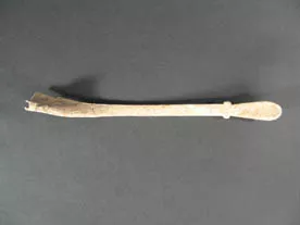 Espátula