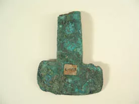 Pinza