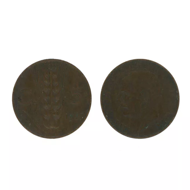 5 C