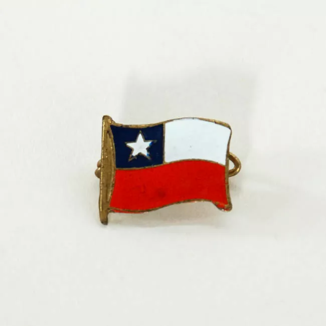 Pin