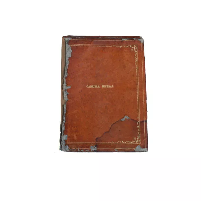 Portafolio
