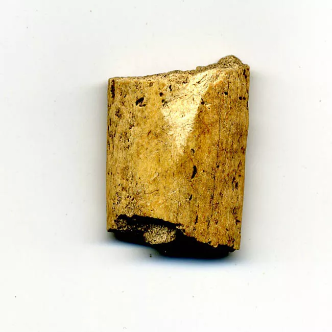 Espátula
