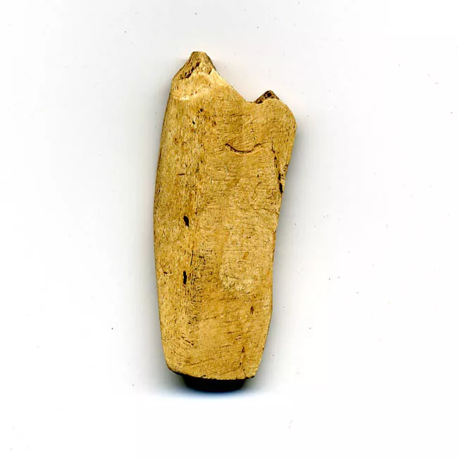 Espátula
