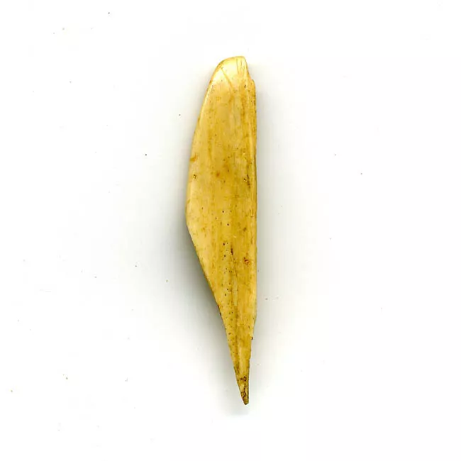 Espátula