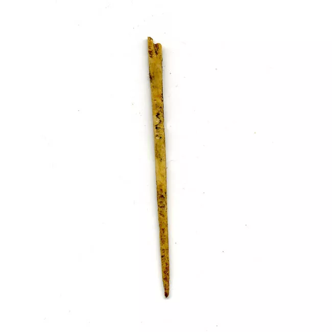 Aguja (arqueológico y etnográfico)