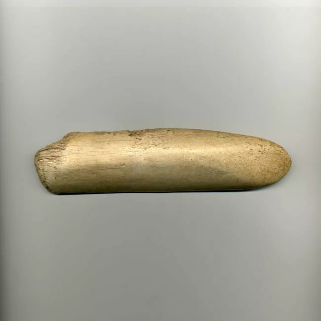 Pala