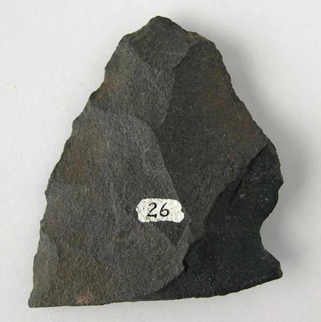 Raedera