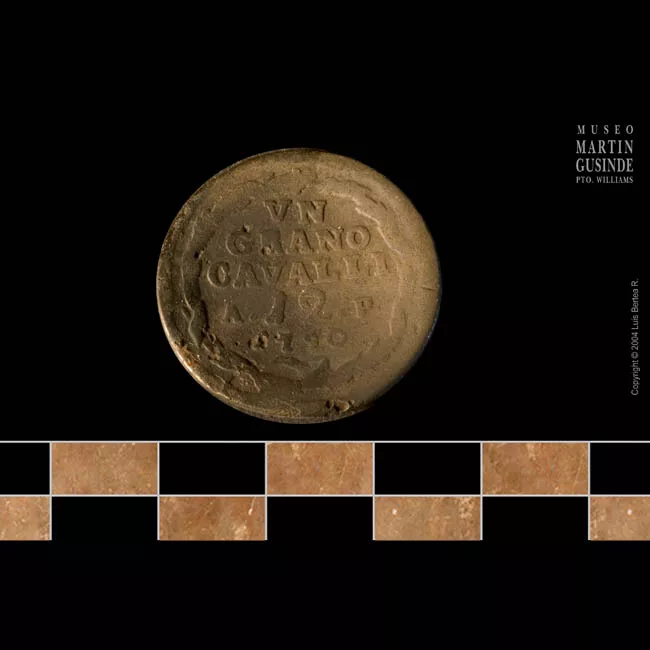 un grano cavalli de Nápoles, Italia