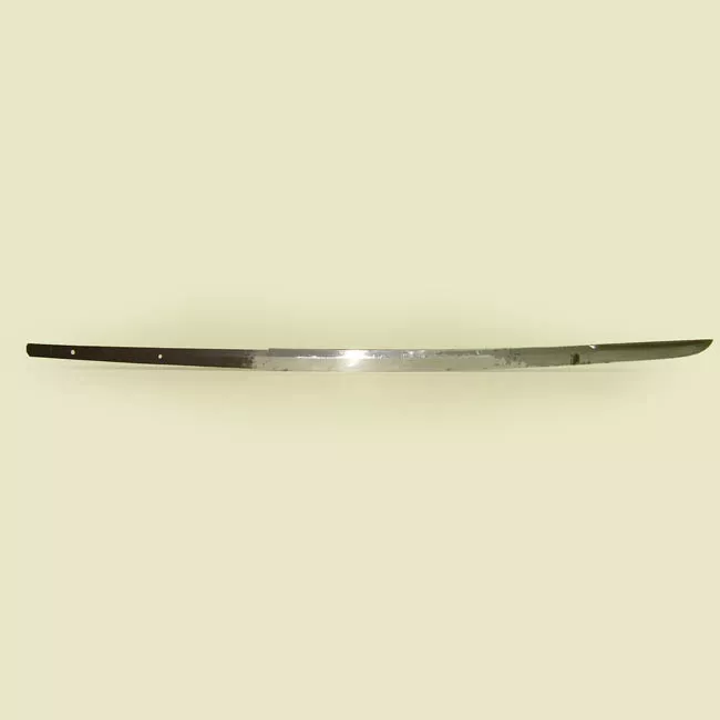 Wakizashi