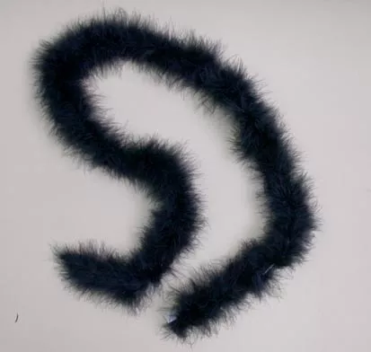 Boa