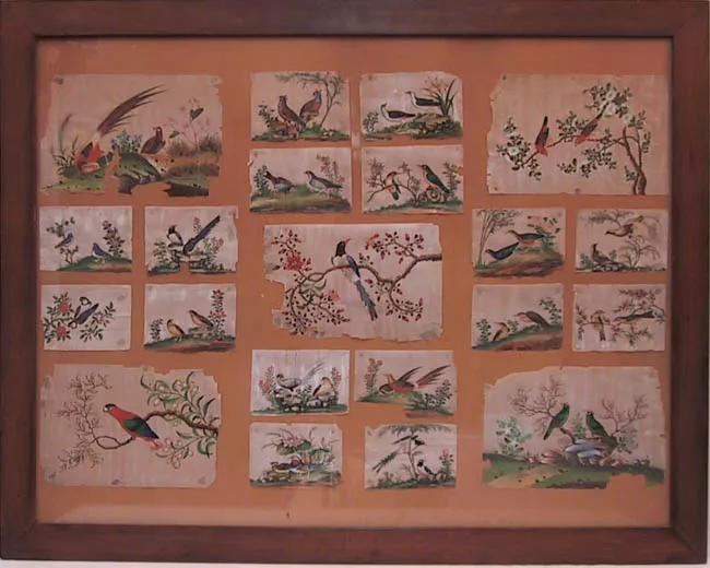Pájaros